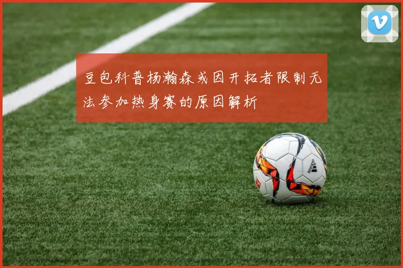 豆包科普杨瀚森或因开拓者限制无法参加热身赛的原因解析
