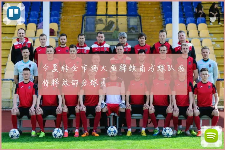 今夏转会市场大鱼稀缺南方球队或将释放部分球员